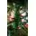 Christmas Tree 180 CM საახალწლო ნაძვის ხე, 4 image