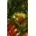 Christmas Tree With Lights 180 CM საახალწლო ნაძვის ხე განათებით, 4 image