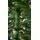 Christmas Tree 210 CM საახალწლო ნაძვის ხე, 4 image