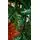 Christmas Tree 180 CM საახალწლო ნაძვის ხე, 3 image