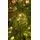 Christmas Tree 240 CM With Lights - ნაძვის ხე განათებით, 4 image