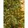 Christmas Tree  210 CM With Lights PE+PVC - ნაძვის ხე შერეული სილიკონის წიწვებით და განათებით, 5 image