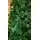Christmas Tree 180 CM საახალწლო ნაძვის ხე, 5 image