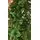 Christmas Tree 240 CM With Pine Cones And Berries - საახალწლო ნაძვის ხე გირჩით და კენკრით, 8 image