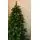 Half Christmas Tree 180 CM PE - კედლის ნაძვის ხე 100 % სილიკონი, 5 image