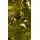 Christmas Tree 240 CM With Lights - ნაძვის ხე განათებით, 8 image