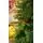 Christmas Tree  210 CM With Pine Cones And Berries PE + PVC ნაძვის ხე შერეული სილიკონის წიწვებით, გირჩით და კენკრით, 5 image