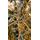 Christmas Tree With Lights 210 CM Snow-Covered საახალწლო ნაძვის ხე დათოვლილი ტოტებით და განათებით, 8 image