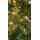 Christmas Tree 200 CM With Lights - ნაძვის ხე განათებით, 7 image