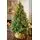 Christmas Tree With Lights 210 CM PE + PVC - ნაძვის ხე შერეული სილიკონის წიწვებით და განათებით