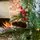 Christmas Tree 210 CM With Lights White Tips, Pine Cones And Berries PE+PVC - ნაძვის ხე განათებით შერეული სილიკონის წიწვებით, თეთრი ბოლოებით, გირჩით და კენკრით, 8 image