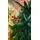 Christmas Tree 180 CM With Pine Cones And Berries - საახალწლო ნაძვის ხე გირჩით და კენკრით, 5 image
