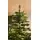 Christmas Tree 240 CM With Lights - ნაძვის ხე განათებით, 9 image