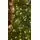 Christmas Tree 240 CM With Lights - ნაძვის ხე განათებით, 3 image