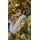 Christmas Tree With Lights 240 CM PE + PVC Snow-Covered - ნაძვის ხე, დათოვლილი, შერეული სილიკონის წიწვებით და განათებით, 9 image