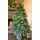 Christmas Tree 180 CM With Simulated Stump Pot PE - ნაძვის ხე ხის მორის ვიზუალის ქოთნით, 100% სილიკონი