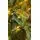 Christmas Tree With Lights 210 CM PE + PVC - ნაძვის ხე შერეული სილიკონის წიწვებით და განათებით, 10 image