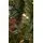 Christmas Tree With Lights 210 CM PE + PVC - ნაძვის ხე შერეული სილიკონის წიწვებით და განათებით, 12 image