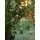 Christmas Tree Green 210 CM  PE - საახალწლო ნაძვის ხე, 100% სილიკონი, 2 image