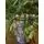 Christmas Tree 180 CM With Simulated Stump Pot PE - ნაძვის ხე ხის მორის ვიზუალის ქოთნით, 100% სილიკონი, 8 image