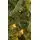 Christmas Tree With Lights 210 CM PE + PVC - ნაძვის ხე შერეული სილიკონის წიწვებით და განათებით, 9 image