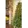 Christmas Tree  210 CM With Lights PE+PVC - ნაძვის ხე შერეული სილიკონის წიწვებით და განათებით, 2 image