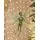 Fairy Hanging Decoration - ნაძვის ხის სათამაშო, 3 image