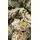 Christmas Tree 240 CM Snow-Covered - საახალწლო ნაძვის ხე დათოვლილი ტოტებით, 4 image