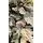 Christmas Tree 180 CM With Pine Cones And Snow-Covered დათოვლილი ნაძვის ხე შერეული სილიკონის ტოტებით და გირჩით, 9 image