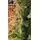 Christmas Tree PE + PVC 240 CM Light Green - საახალწლო ნაძვის ხე შერეული სილიკონის წიწვებით, 3 image