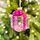 Gift Box Hanging Decoration - ნაძვის ხის სათამაშო