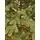 Viennese Christmas Tree Green PE 210 CM საახალწლო ნაძვის ხე 100% სილიკონი, 4 image