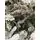 Snow-Covered Christmas Tree PE+PVC 300 CM - დათოვლილი ნაძვის ხე შერეული სილიკონის წიწვებით, 5 image