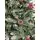 Christmas Tree With Snow-Covered Branches, Pine Cones And Berries 270 CM - ნაძვის ხე დათოვლილი ბოლოებით, გირჩით და კენკრით, 6 image