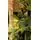 Christmas Tree PE + PVC 210 CM - საახალწლო ნაძვის ხე შერეული სილიკონის წიწვებით, 7 image