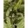 Alpine Christmas Tree PE 210 CM Green - საახალწლო ნაძვის ხე, 100 % სილიკონი, 3 image