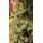 Christmas Tree PE + PVC 210 CM Light Green - საახალწლო ნაძვის ხე შერეული სილიკონის წიწვებით, 5 image