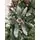 Christmas Tree With Snow-Covered Branches, Pine Cones And Berries 270 CM - ნაძვის ხე დათოვლილი ბოლოებით, გირჩით და კენკრით, 3 image