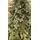 Christmas Tree PE + PVC 240 CM Light Green - საახალწლო ნაძვის ხე შერეული სილიკონის წიწვებით, 5 image