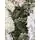 Snow-Covered Christmas Tree PE+PVC 300 CM - დათოვლილი ნაძვის ხე შერეული სილიკონის წიწვებით, 4 image