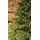 Christmas Tree PE + PVC 240 CM - საახალწლო ნაძვის ხე შერეული სილიკონის წიწვებით, 7 image