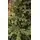 Christmas Tree PE + PVC 210 CM - საახალწლო ნაძვის ხე შერეული სილიკონის წიწვებით, 10 image