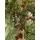 Holandiia Christmas Tree With Blue Tips PE 210 CM საახალწლო ნაძვის ხე, 100% სილიკონი, 5 image