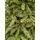 Christmas Tree 180 CM Dark Green - საახალწლო ნაძვის ხე, 3 image