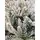 Christmas Tree PE+PVC 270 CM Snow-Covered  - დათოვლილი ნაძვის ხე შერეული სილიკონის წიწვებით, 4 image