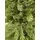 Christmas Tree 180 CM Dark Green - საახალწლო ნაძვის ხე, 7 image