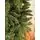 Christmas Tree 180 CM Dark Green - საახალწლო ნაძვის ხე, 6 image