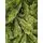 Christmas Tree 225 CM Dark Green - საახალწლო ნაძვის ხე, 6 image