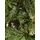 Christmas Tree 225 CM Dark Green - საახალწლო ნაძვის ხე, 3 image