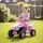 Little Princess Quad Pink - ელექტრო კვადროციკლი, 2 image